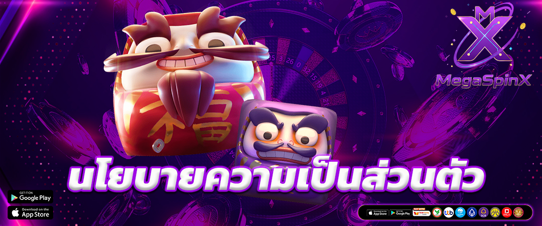 นโยบายความเป็นส่วนตัว